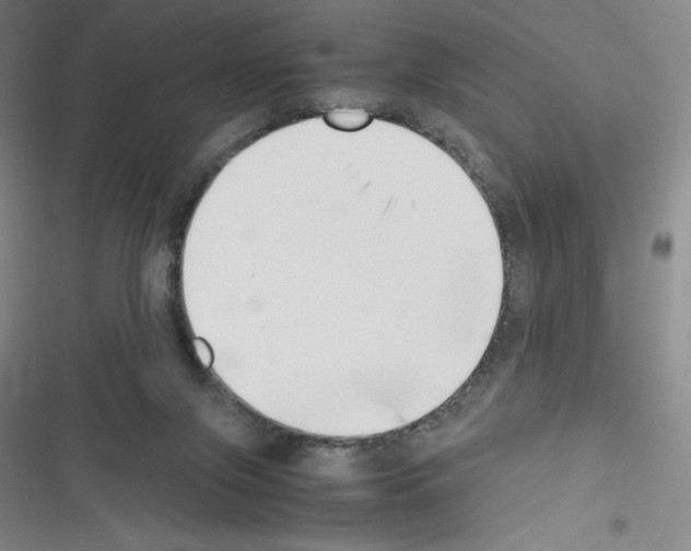 X0000116330071201001131033