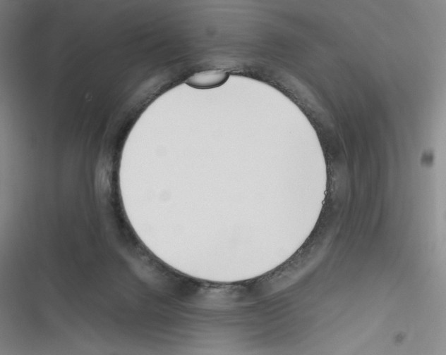 X0000116330072201001131033