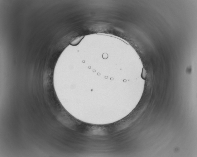 X0000116330073201001131033