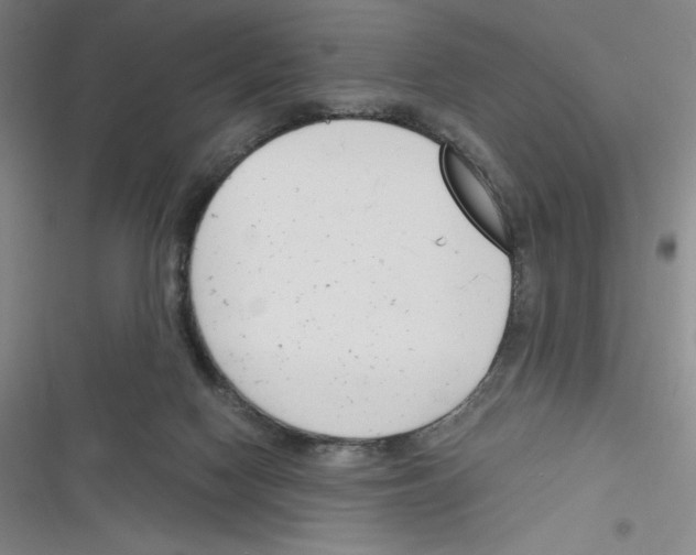 X0000116330074201001131033