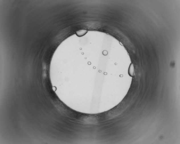 X0000116330075201001131033
