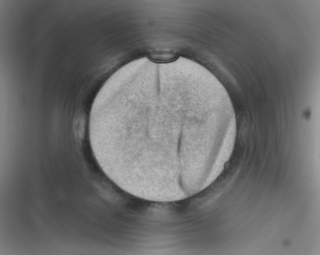 X0000116330076201001131033
