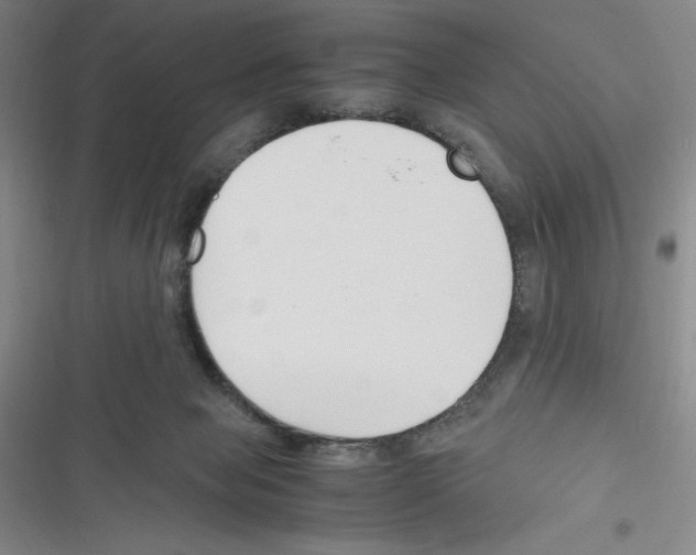 X0000116330077201001131033