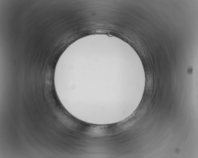 X0000116330078201001131033