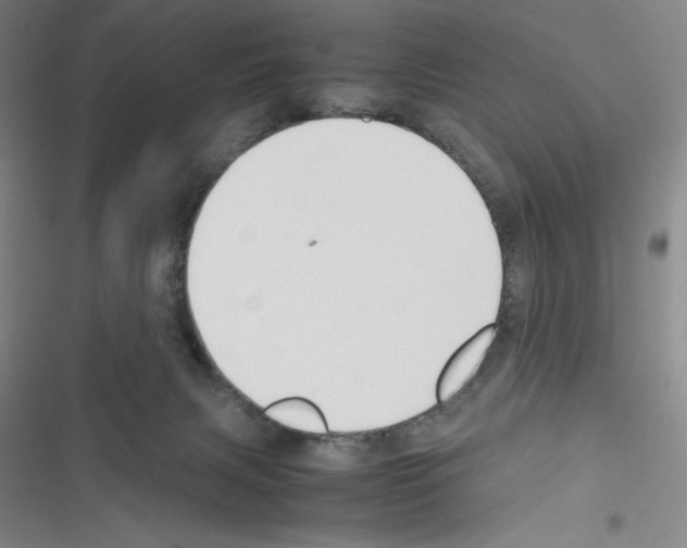 X0000116330079201001131033