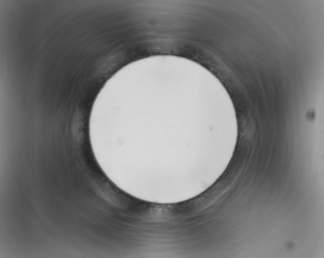 X0000116330080201001131033