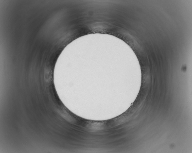 X0000116330081201001131033