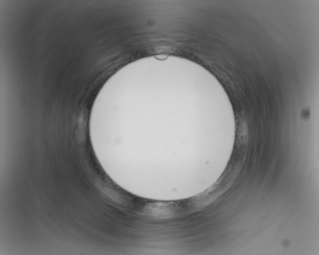 X0000116330082201001131033