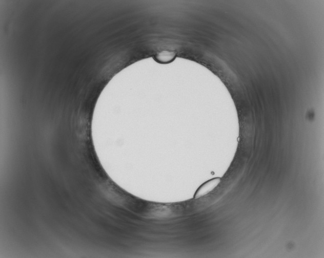 X0000116330083201001131033