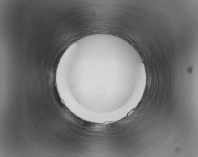 X0000116330084201001131033