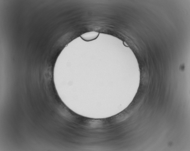X0000116330085201001131033