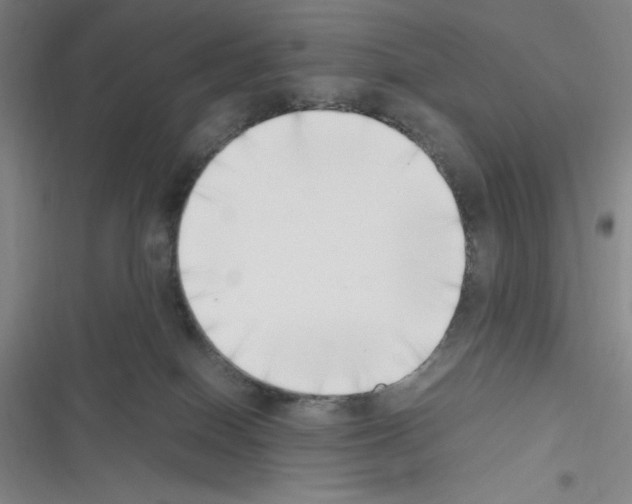 X0000116330086201001131033
