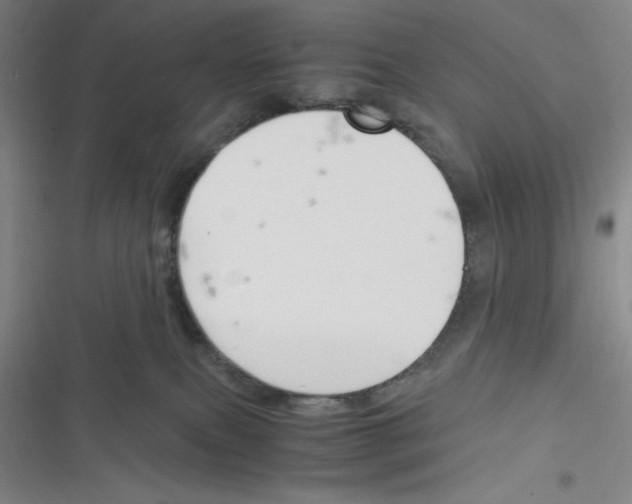 X0000116330087201001131033