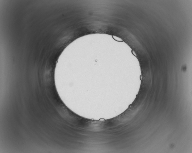 X0000116330088201001131033