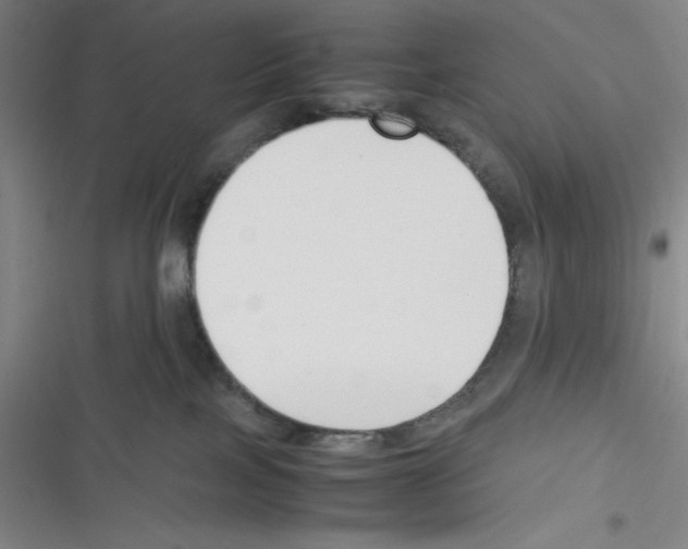 X0000116330089201001131033