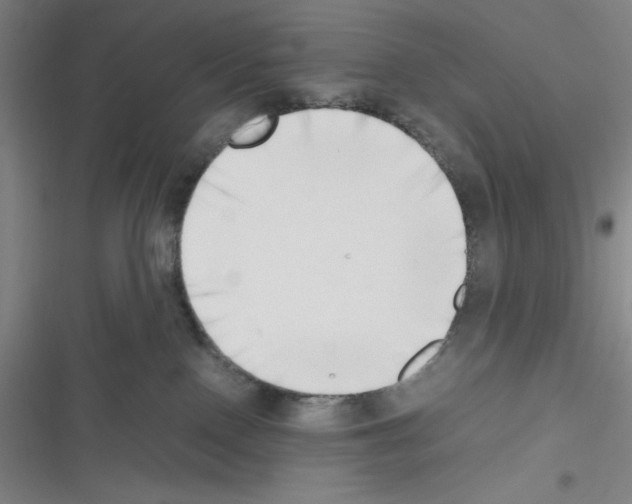 X0000116330090201001131033