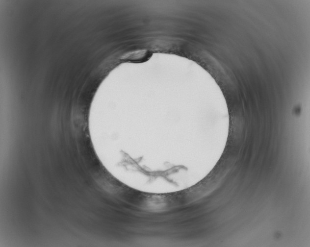 X0000116330091201001131033