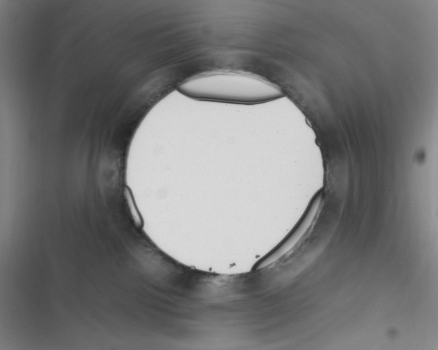 X0000116330092201001131033