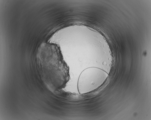 X0000116330093201001131033