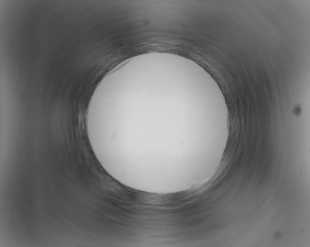X0000116330094201001131033