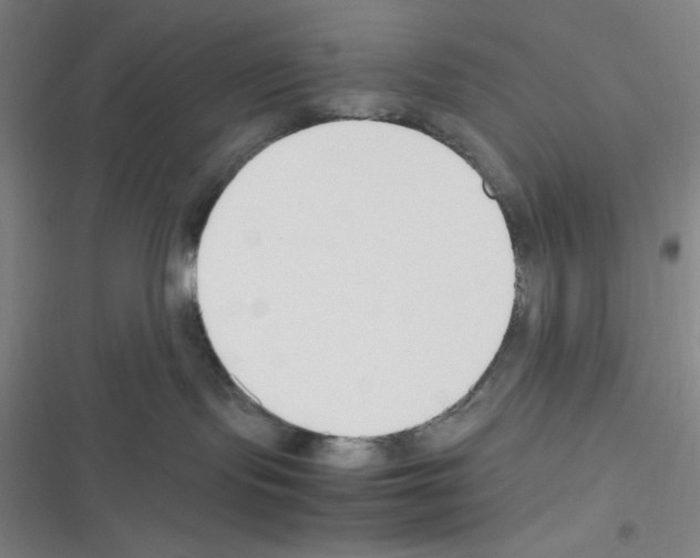 X0000116330095201001131033