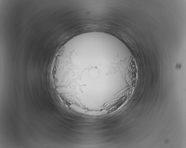 X0000116330096201001131033