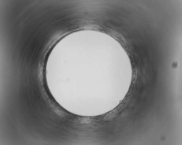 X0000116330098201001131033
