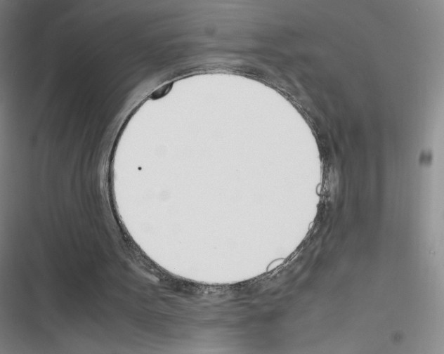 X0000116330099201001131033