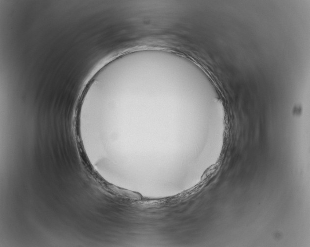 X0000116330100201001131033
