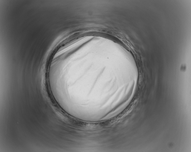 X0000116330101201001131033