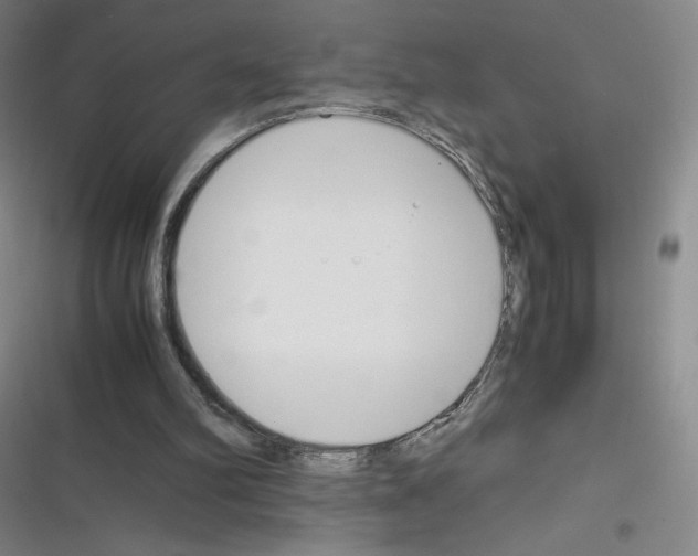 X0000116330102201001131033