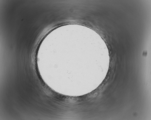 X0000116330103201001131033