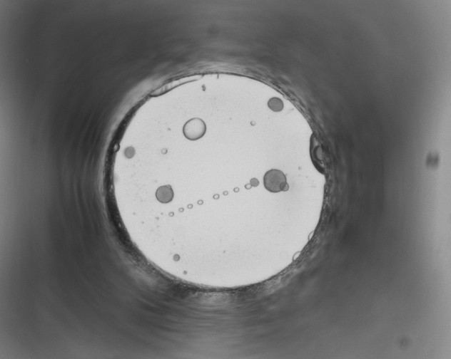 X0000116330104201001131033