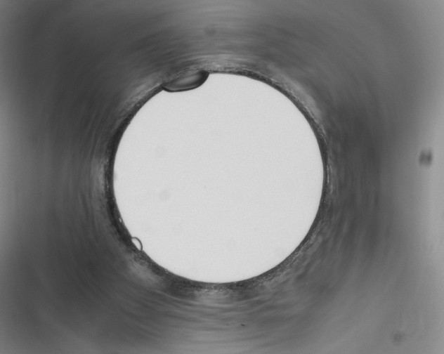 X0000116330105201001131033