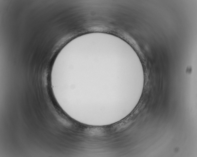 X0000116330106201001131033