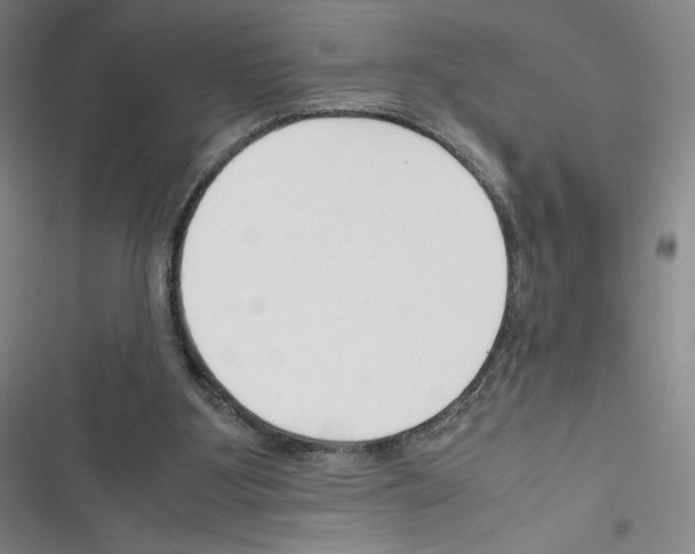 X0000116330107201001131032