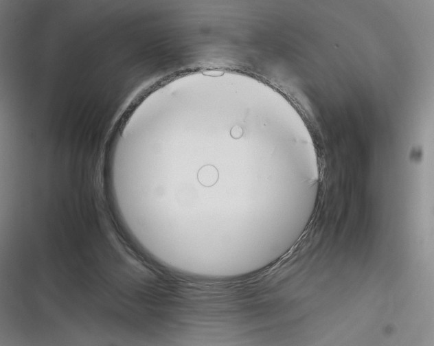 X0000116330108201001131032