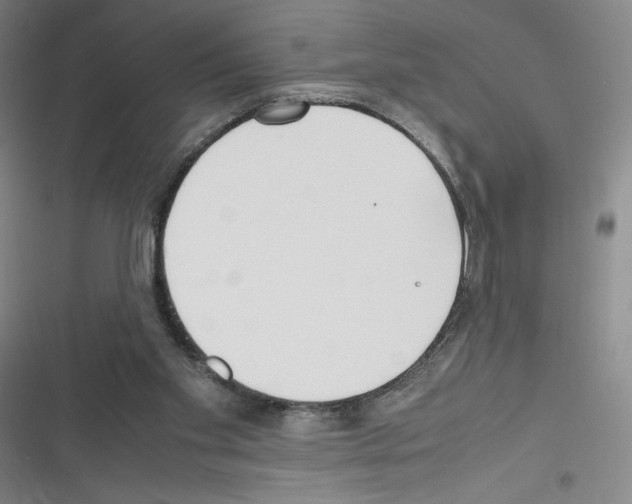 X0000116330109201001131032