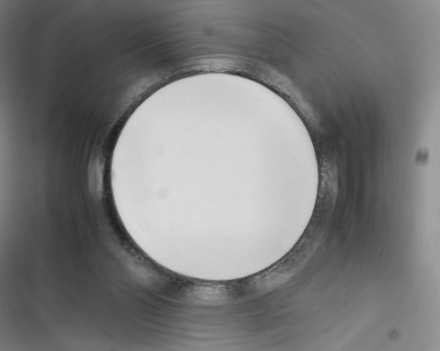 X0000116330110201001131032