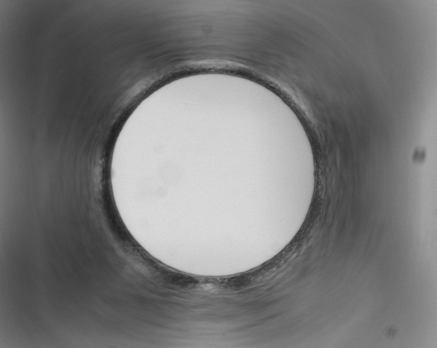 X0000116330111201001131032