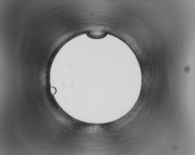 X0000116330112201001131032