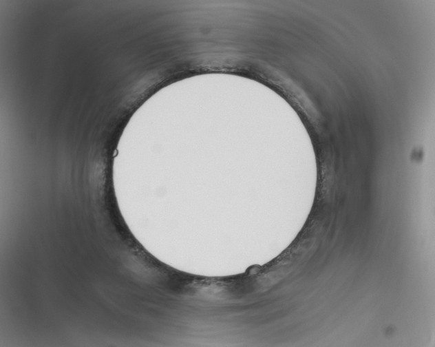 X0000116330113201001131032