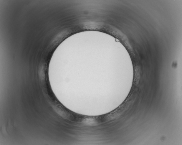 X0000116330114201001131032