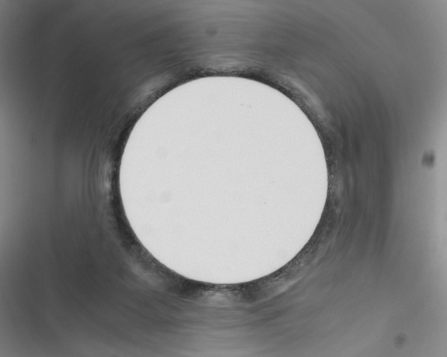 X0000116330115201001131032