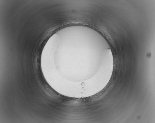X0000116330116201001131032