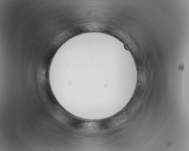 X0000116330117201001131032
