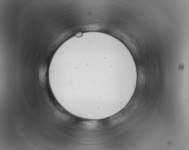 X0000116330118201001131032