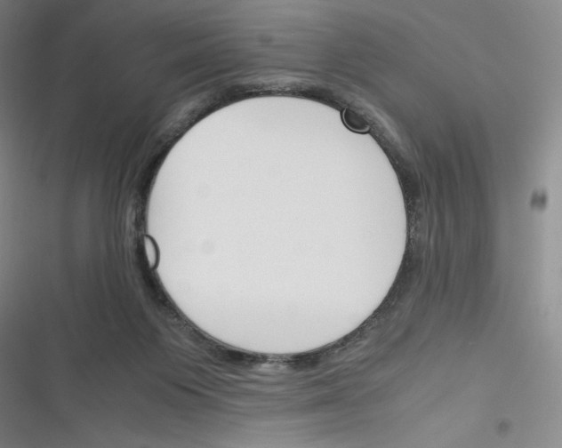 X0000116330119201001131032