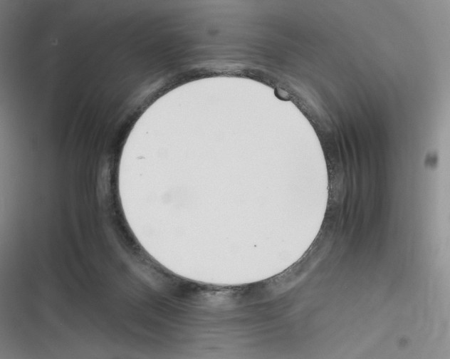 X0000116330120201001131032