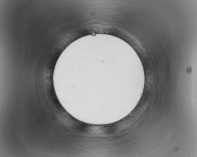 X0000116330121201001131032